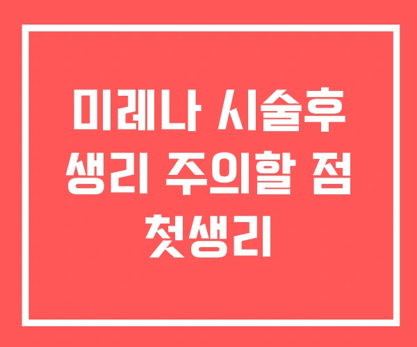 미레나 시술후 생리 주의할 점 첫생리