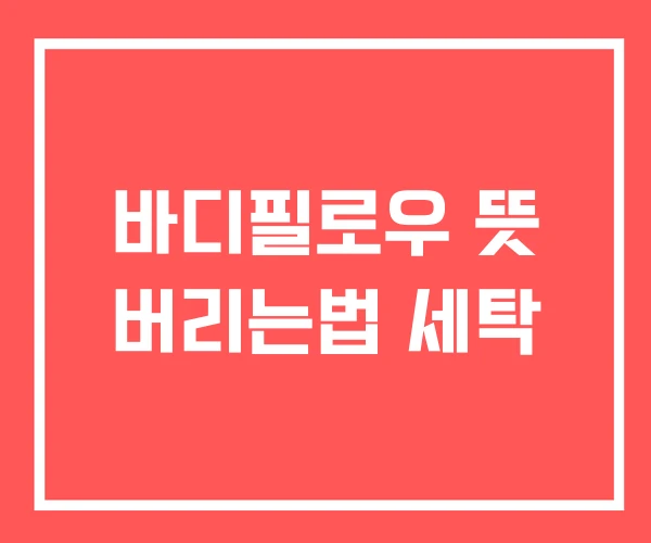 바디필로우 뜻 버리는법 세탁