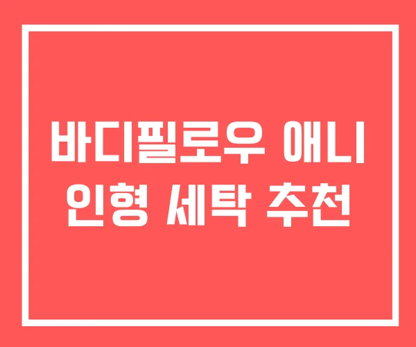 바디필로우 애니 인형 세탁 추천