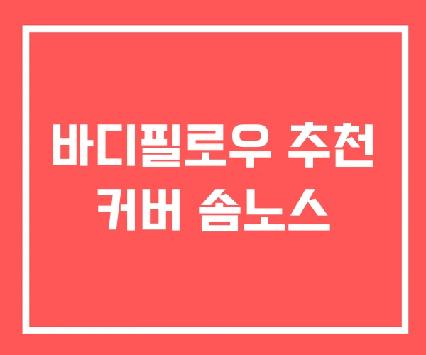 바디필로우 추천 커버 솜노스