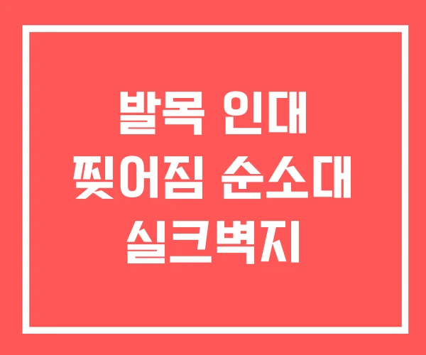 발목 인대 찢어짐 순소대 실크벽지