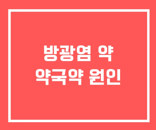 방광염 약 약국약 원인
