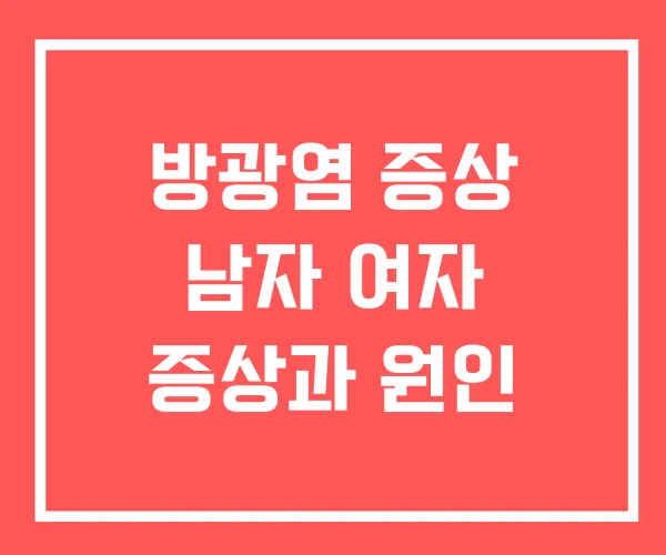 방광염 증상 남자 여자 증상과 원인