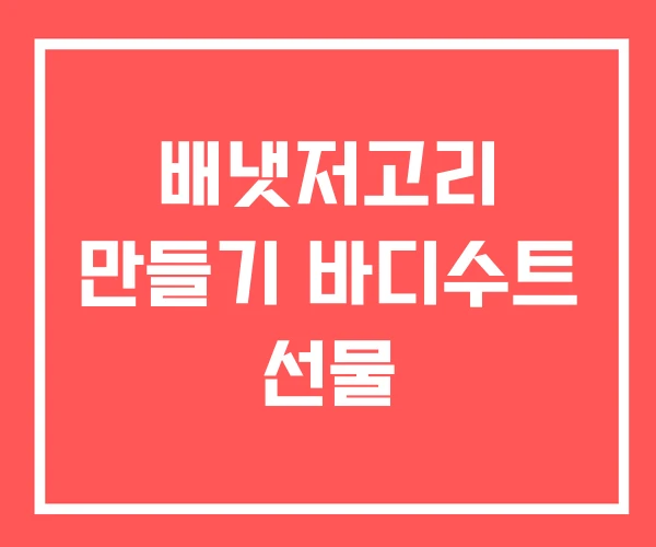 배냇저고리 만들기 바디수트 선물