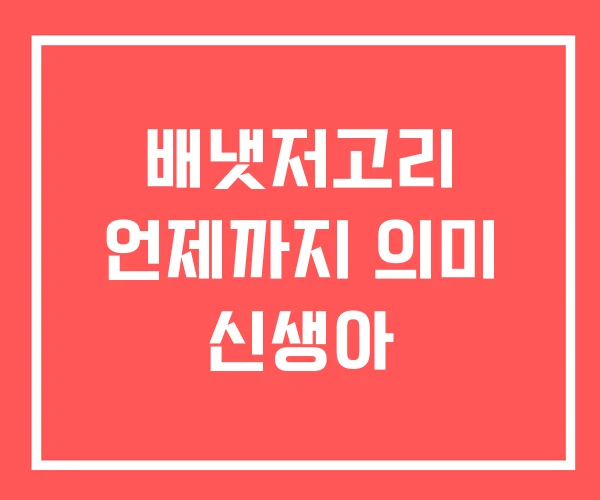 배냇저고리 언제까지 의미 신생아