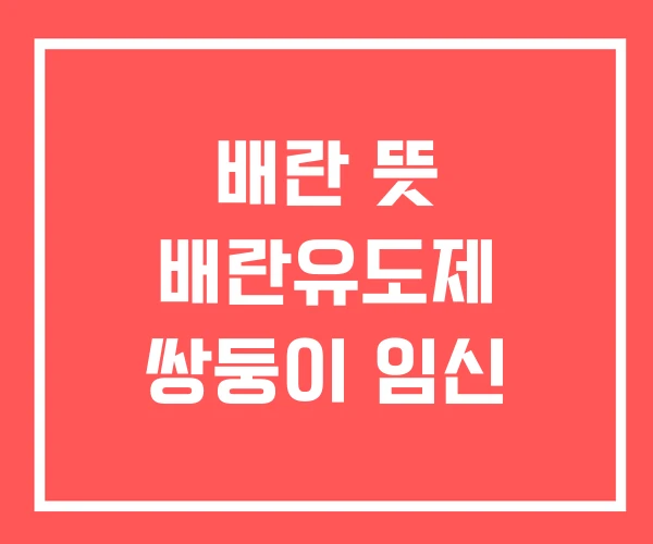 배란 뜻 배란유도제 쌍둥이 임신
