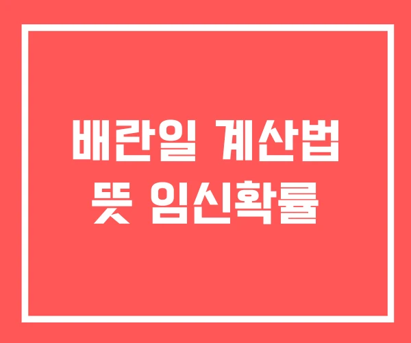 배란일 계산법 뜻 임신확률