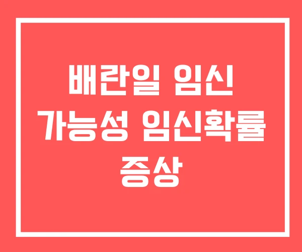 배란일 임신 가능성 임신확률 증상