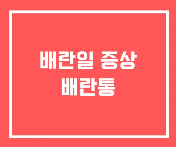 배란일 증상 배란통