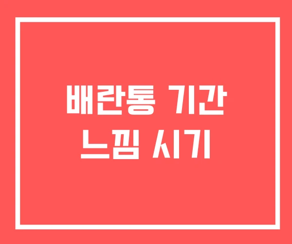 배란통 기간 느낌 시기