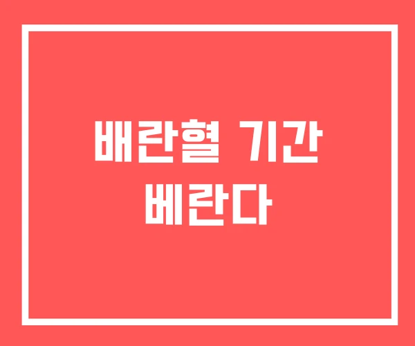 배란혈 기간 베란다
