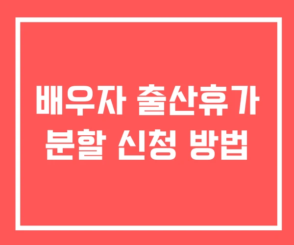 배우자 출산휴가 분할 신청 방법