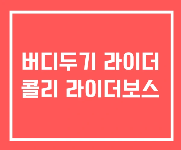 버디두기 라이더 콜리 라이더보스
