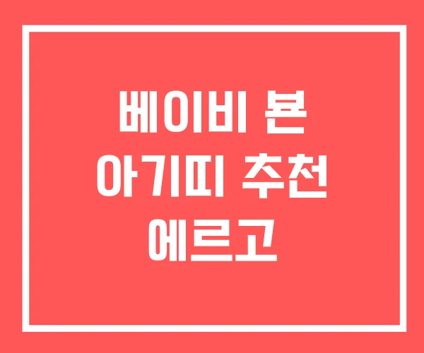 베이비 뵨 아기띠 추천 에르고