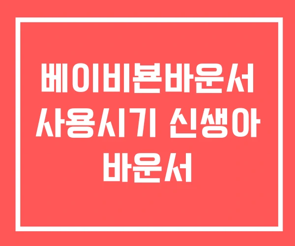 베이비뵨바운서 사용시기 신생아 바운서
