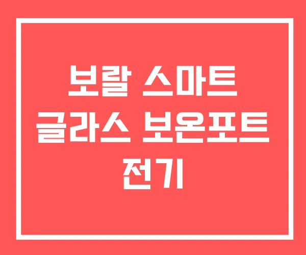 보랄 스마트 글라스 보온포트 전기