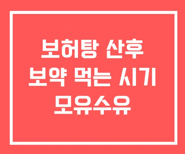 보허탕 산후 보약 먹는 시기 모유수유