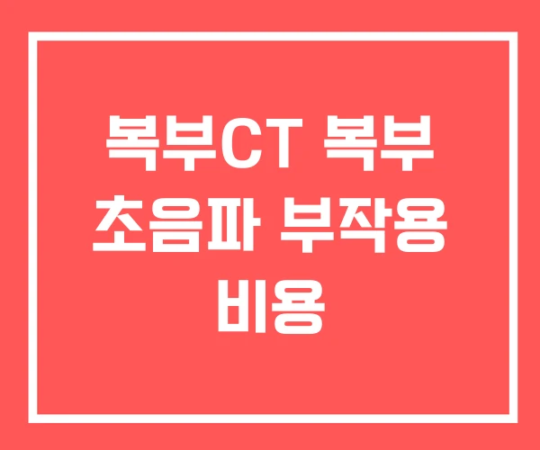 복부CT 복부 초음파 부작용 비용