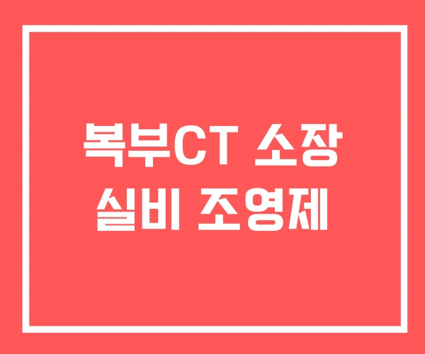 복부CT 소장 실비 조영제