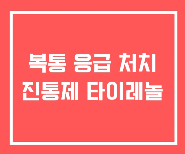 복통 응급 처치 진통제 타이레놀