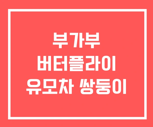 부가부 버터플라이 유모차 쌍둥이