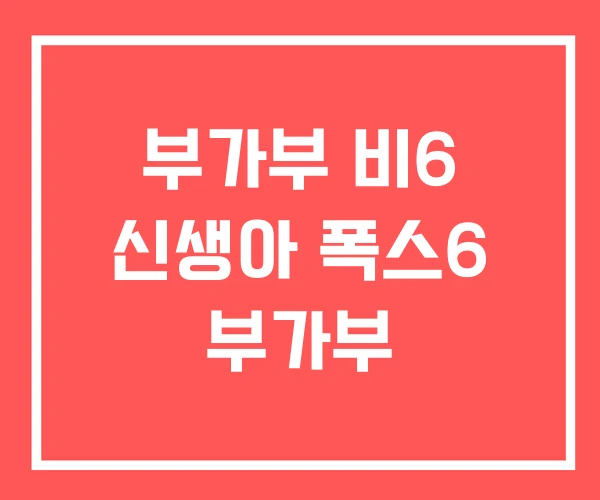 부가부 비6 신생아 폭스6 부가부