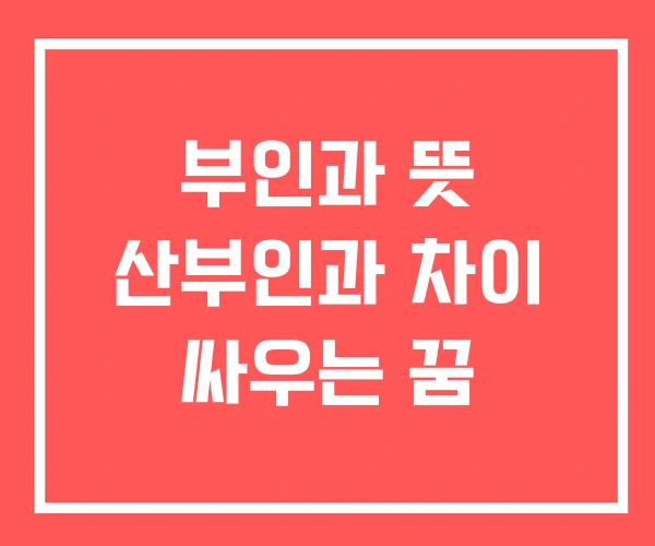 부인과 뜻 산부인과 차이 싸우는 꿈