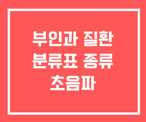 부인과 질환 분류표 종류 초음파