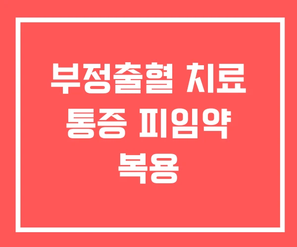 부정출혈 치료 통증 피임약 복용