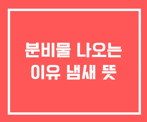 분비물 나오는 이유 냄새 뜻