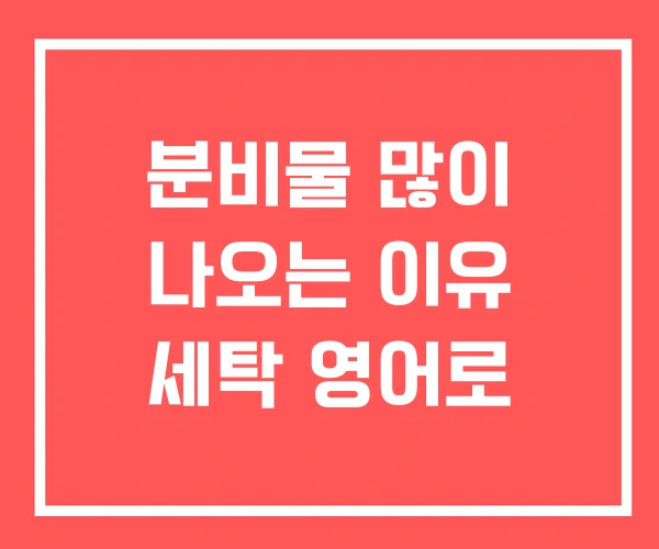 분비물 많이 나오는 이유 세탁 영어로