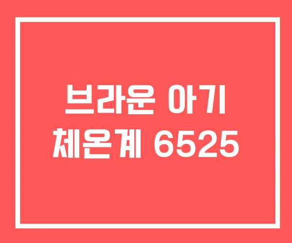 브라운 아기 체온계 6525