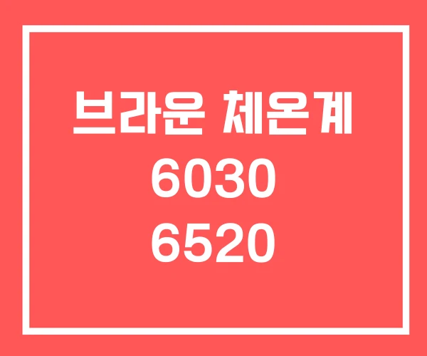 브라운 체온계 6030 6520