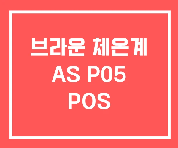 브라운 체온계 AS P05 POS