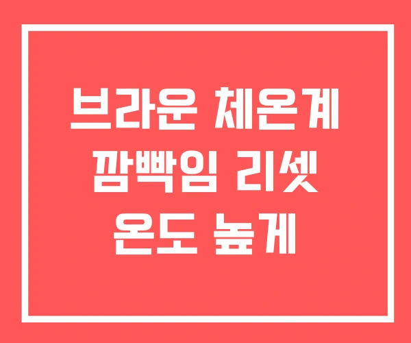 브라운 체온계 깜빡임 리셋 온도 높게