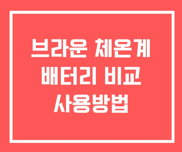 브라운 체온계 배터리 비교 사용방법