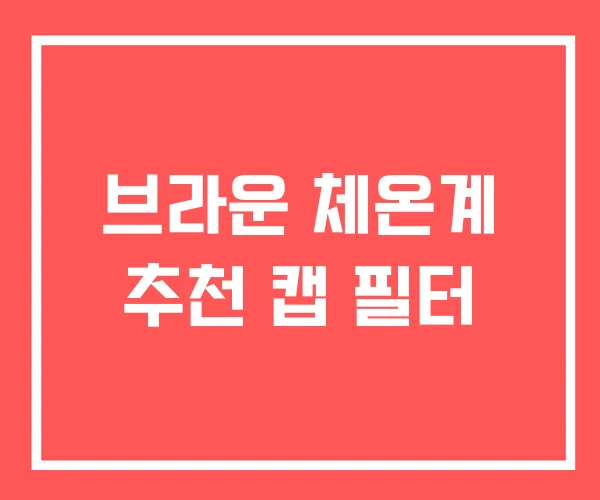 브라운 체온계 추천 캡 필터