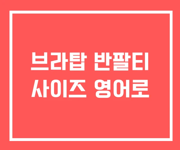 브라탑 반팔티 사이즈 영어로