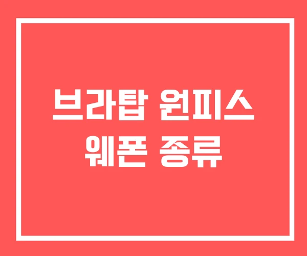 브라탑 원피스 웨폰 종류