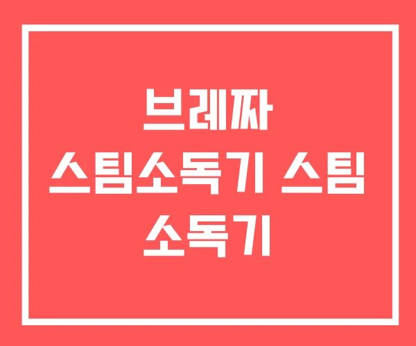 브레짜 스팀소독기 스팀 소독기