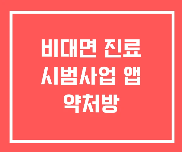 비대면 진료 시범사업 앱 약처방