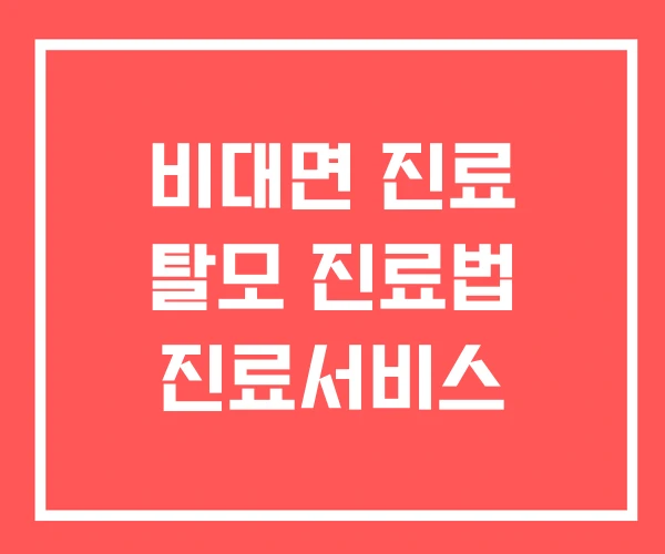 비대면 진료 탈모 진료법 진료서비스