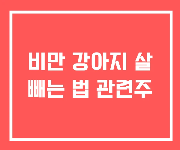 비만 강아지 살 빼는 법 관련주