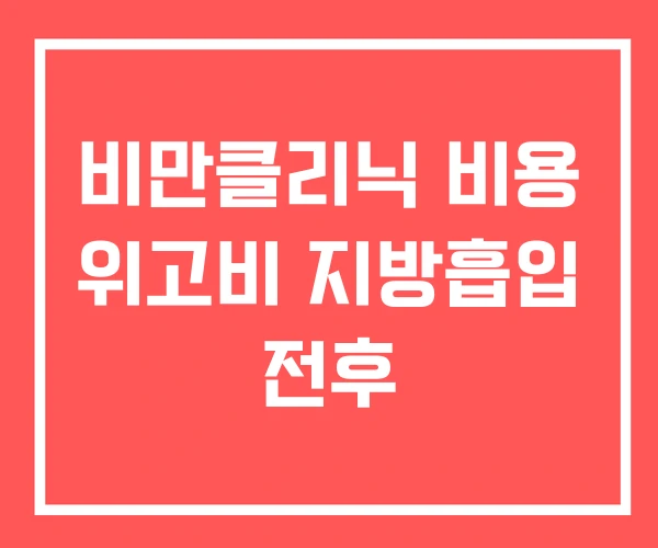 비만클리닉 비용 위고비 지방흡입 전후