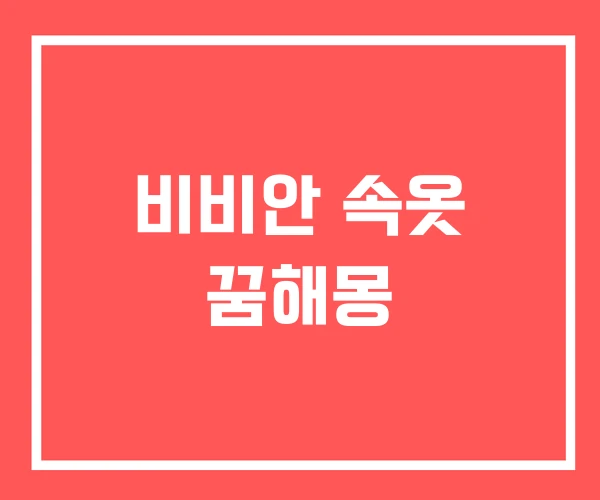 비비안 속옷 꿈해몽