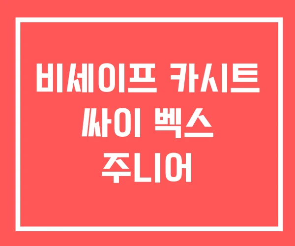 비세이프 카시트 싸이 벡스 주니어