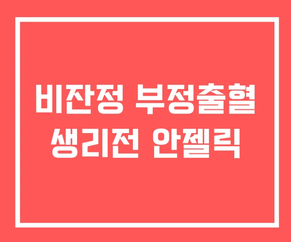 비잔정 부정출혈 생리전 안젤릭