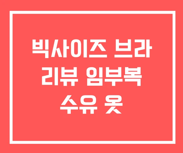 빅사이즈 브라 리뷰 임부복 수유 옷