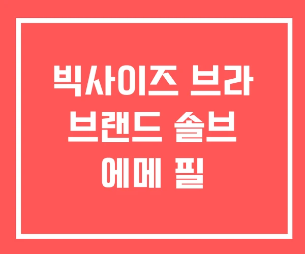 빅사이즈 브라 브랜드 솔브 에메 필