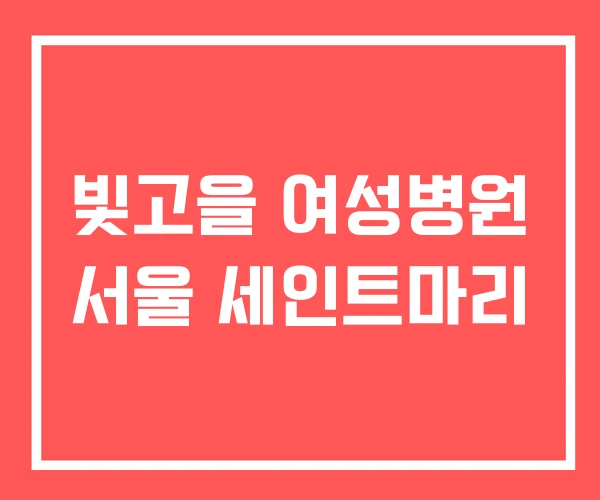 빛고을 여성병원 서울 세인트마리